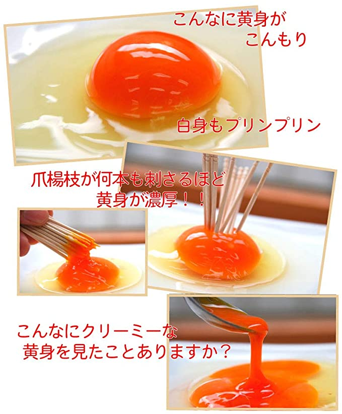 こだわり卵 20パック（200個入り）